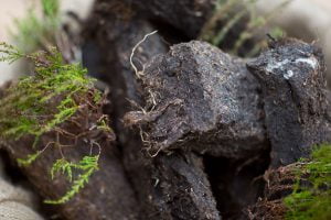Irish peat